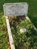 image of grave number 228877